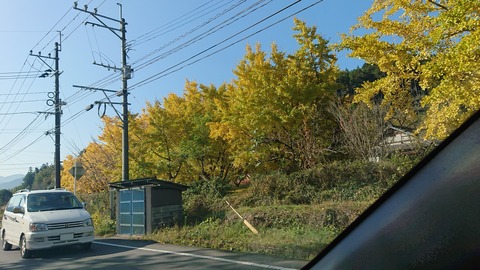 71-58(26-22)遊水峡キャンプ場436SR