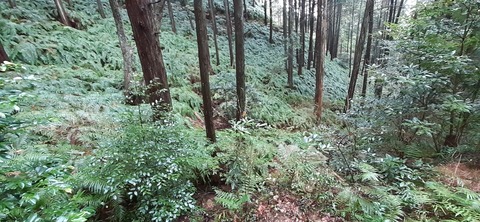 148-133(47-47)霜降山キャンプ場26_131824