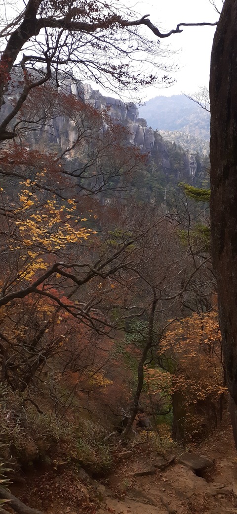 236-219(25-24)大崩山1104_145026