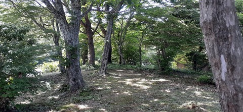 164-149(6-6)長野山緑地公園702_133728