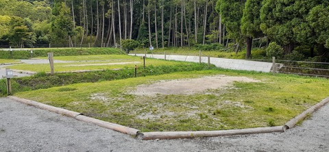 216-200(5-5)山鳥の森623_131949