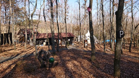 126-111(25-25)CAMP✕WOODS380