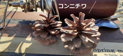 189-173(31-30)大島加代海岸103_143238R