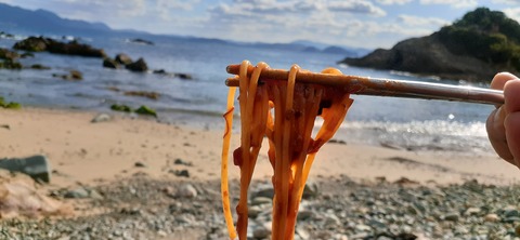 189-173(31-30)大島加代海岸103_124226