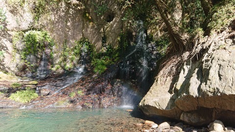 122-107(21-21)阿蘇レインボーバレー837