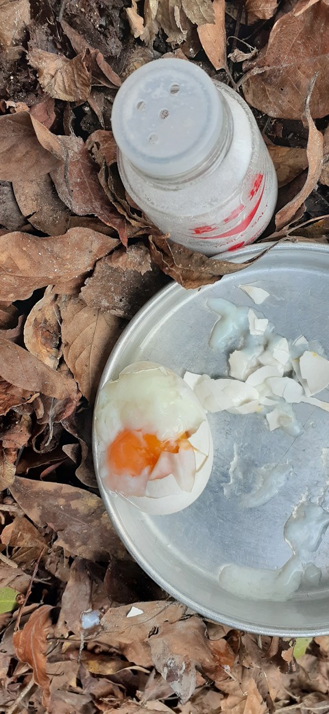 251-232(40-37)伽藍岳ゲリラキャン303_110927