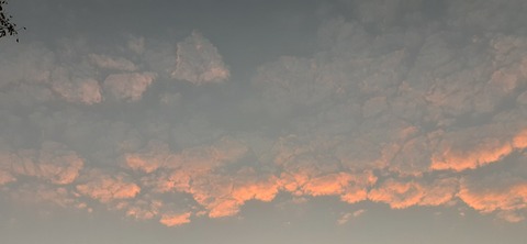 241-224(30-29)奥霧島御池キャンプ場②1126_064929