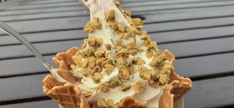 194-178(36-35)ゴンドーシャロレー⑨212_140001