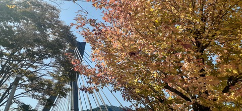 235-218(24-23)祝子川キャンプ場1103_113749