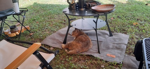 229-212(18-17)竹原牧場916_151030