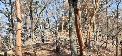 236-219(25-24)大崩山1104_111003R