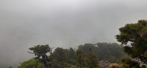 260-241(49-46)宮之浦岳淀川小屋501_085917