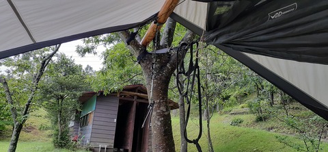 163-148(5-5)いもんころ625_125957