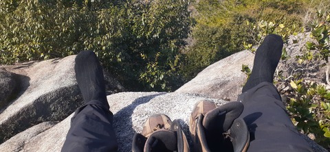 251-232(40-37)大坂山障子ヶ岳218_105857