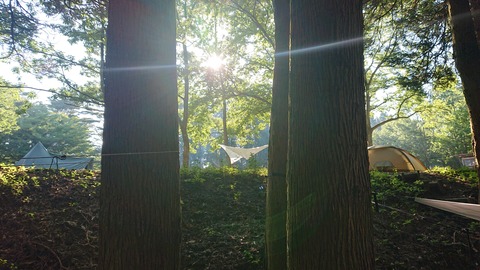 114-99(13-13)9.BASE 589