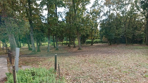 125-110(24-24)キャンプ&農園玖珠の杜206