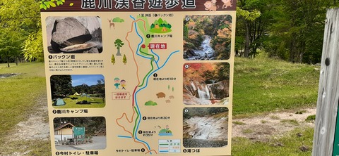 156-141(55-55)鹿川キャンプ場505_130321