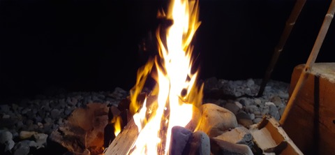 189-173(31-30)大島加代海岸103_193756