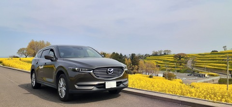 203-187(45-44)長崎鼻リゾートキャンプ場402_100930R