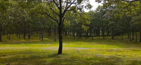 172-157(14-14)くじゅう自然動物園904_093644