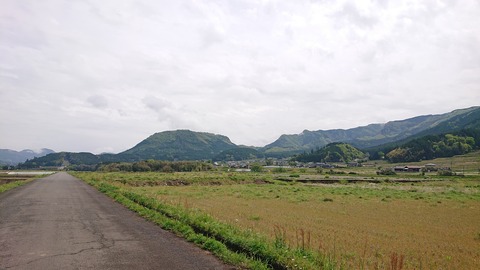 96-81(51-45)伐株山憩いの森553