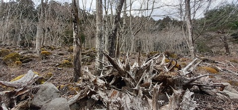 146-131(45-45)牧の原キャンプ場12_123647