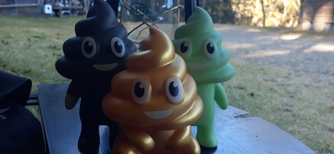 235-218(24-23)祝子川キャンプ場1103_151106