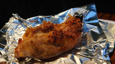 118-103(17-17)グランピングKAWASAKI２151S