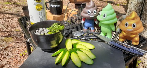 153-138(52-52)マゼノ 甲の瀬キャンプ村430_141206