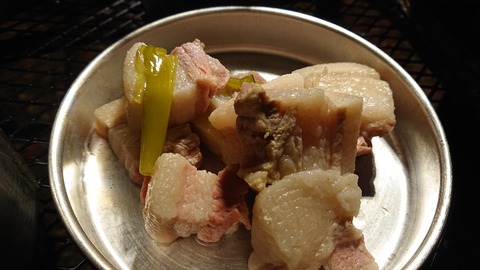 68-55(23-19)藤河内渓谷キャンプ場273S