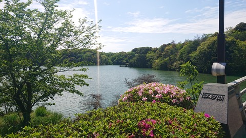 97-82(52-46)江汐公園キャンプ場749