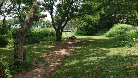 110-95(9-9)高原の里50エイドステ