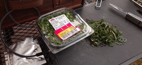 268-248(5-4)岳切渓谷キャンプ場615_191616