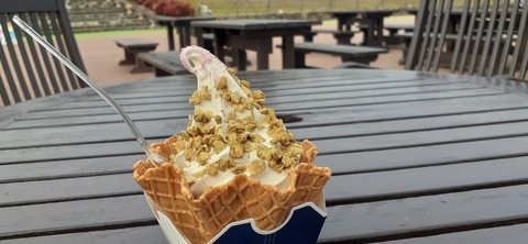 194-178(36-35)ゴンドーシャロレー⑨212_135958