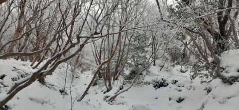 245-227(34-32)法華院温泉山荘104_075203