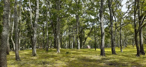 172-157(14-14)くじゅう自然動物園904_101840