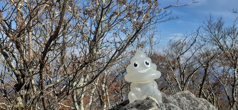 236-219(25-24)大崩山1104_120300