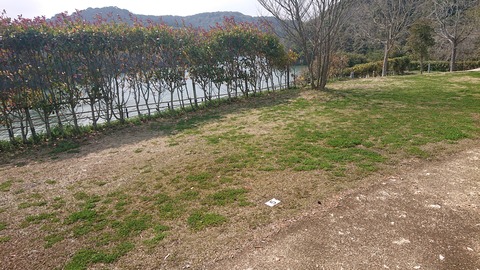 90-76(45-40)アクトビレッジおの52