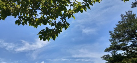 164-149(6-6)長野山緑地公園702_121936