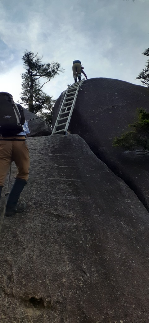 236-219(25-24)大崩山1104_143558