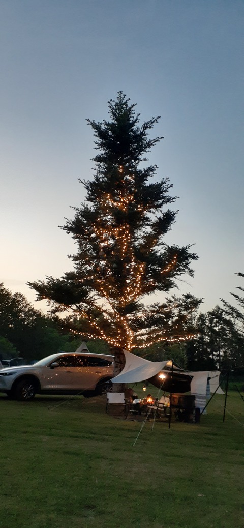 205-189(47-46)ラピュタファーム422_190734