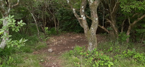 170-155(12-12)坊がツルキャンプ場②812_130841
