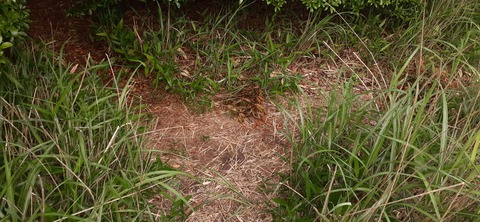 268-248(5-4)万年山616_082044