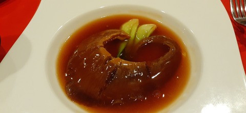 205-189(47-46)爬虫類大好きヤ421_195552