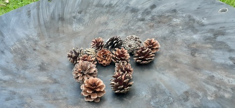 164-149(6-6)長野山緑地公園702_171934