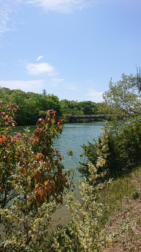 97-82(52-46)江汐公園キャンプ場698