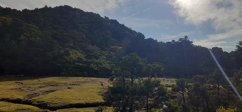 260-241(49-46)宮之浦岳淀川小屋501_170725