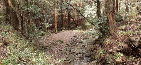 202-186(44-43)八木山渓流公園325_110039