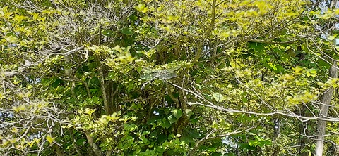 164-149(6-6)長野山緑地公園702_133149