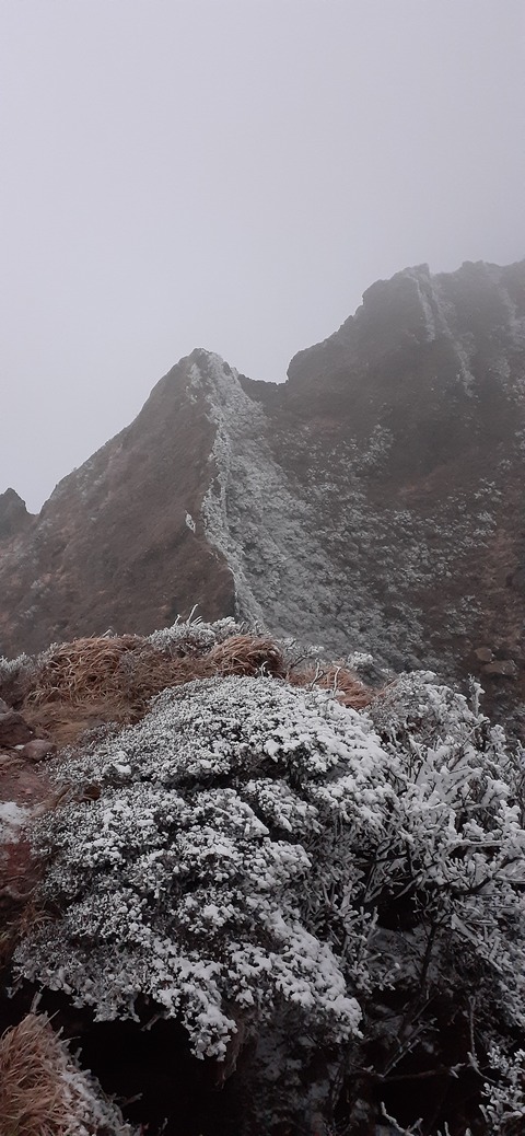 250-231(39-36)RECAMP志高湖 由布岳211_064928